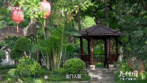 花开中国 1. évad Ep.8 8. epizód