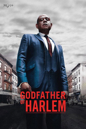 Godfather of Harlem poszter