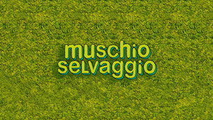 Muschio Selvaggio kép