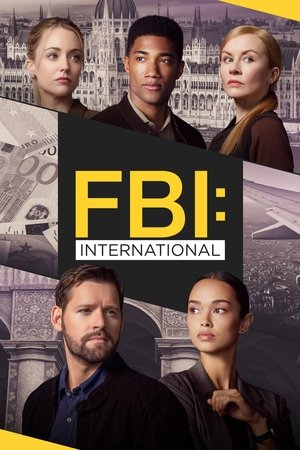FBI: International poszter