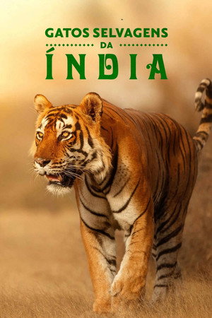 India vadmacskái poszter