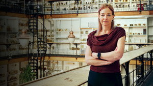 Alice Roberts: Our Hospital Through Time kép