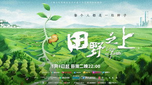 田野之上 kép