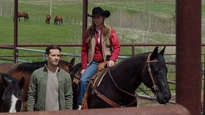 Heartland 13. évad Ep.1 Karantén