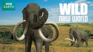 Wild New World kép