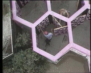 Takeshi's Castle 3. évad Ep.17 17. epizód