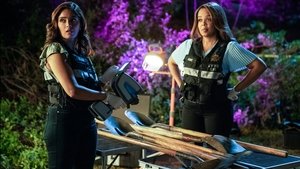 CSI: Las Vegas-i helyszínelők 1. évad Ep.4 Hulla, szervírozva