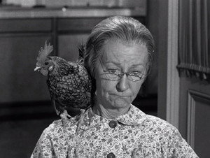 The Beverly Hillbillies 1. évad Ep.31 31. epizód