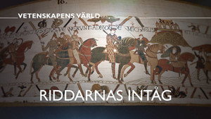 Vetenskapens värld 47. évad Ep.43 43. epizód