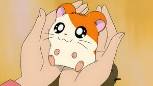 とっとこハム太郎 kép