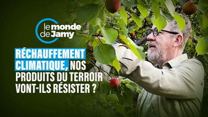Le monde de Jamy 1. évad Ep.36 36. epizód