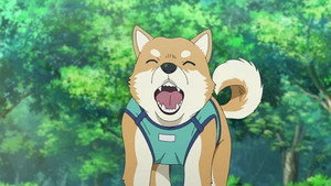 名探偵コナン 1. évad Ep.1139 1139. epizód