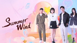 被风吹过的夏天 kép