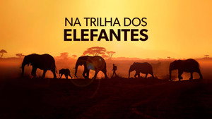 Walking with Elephants kép