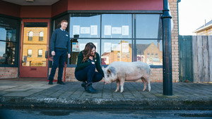 Rosehaven 3. évad Ep.1 1. epizód