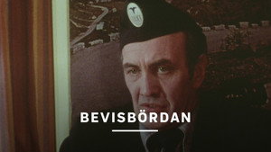 Bevisbördan kép