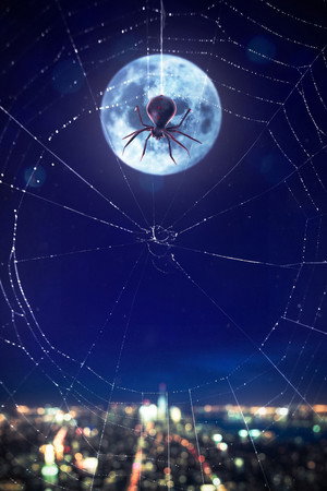 Icons Unearthed: Spider Man poszter
