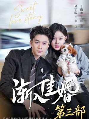 渐入佳婚 3. évad (2026-01-11) poszter