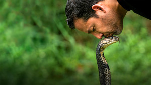 Ezt ne próbáld ki! - Halálos mutatványok David Blaine-nel kép
