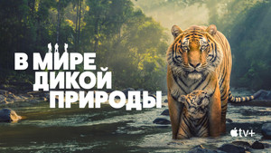 The Wild Ones kép