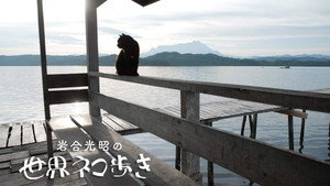 岩合光昭の世界ネコ歩き 1. évad Ep.150 150. epizód