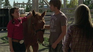 Heartland 3. évad Ep.12 12. epizód