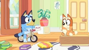 Bluey 2. évad Ep.36 Postás