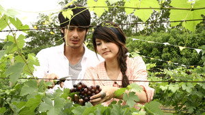 วายุภัคมนตรา kép