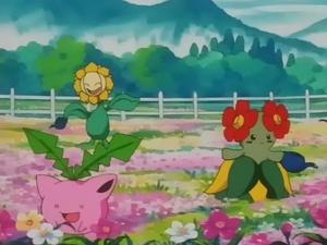 Pokémon 4. évad Ep.21 21. epizód
