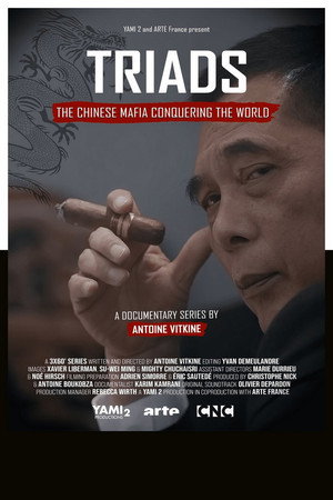 Triades : la Mafia chinoise à la conquête du monde poszter