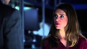 Nikita 2. évad Ep.8 8. epizód