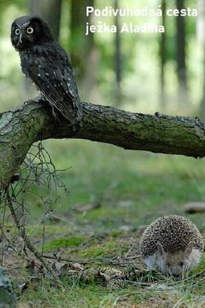 Podivuhodná cesta ježka Aladina poszter