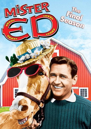 Mister Ed poszter