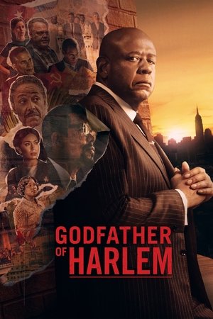 Godfather of Harlem 3. évad (2023-01-15) poszter