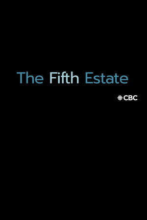 The Fifth Estate poszter