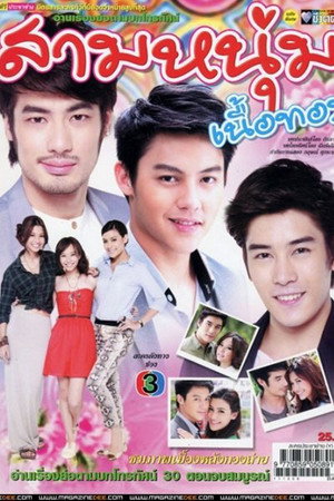 3 หนุ่มเนื้อทอง 1. évad (2011-12-16) poszter