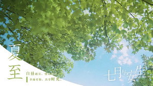 七月与安生 kép