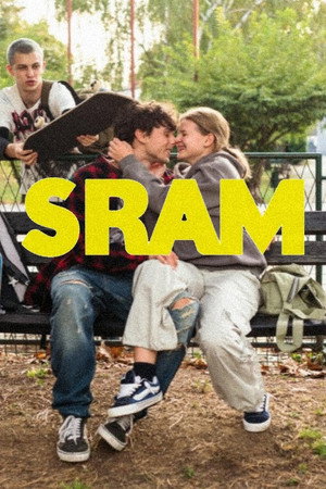 SRAM poszter