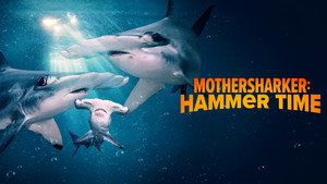 Shark Week 37. évad Ep.21 21. epizód
