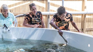 The Amazing Race Australia 5. évad Ep.6 6. epizód