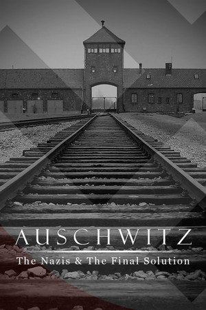 Auschwitz: A nácik végső megoldása 1. évad (2005-01-11) poszter