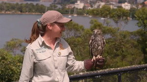 Taronga: Who's Who in the Zoo 3. évad Ep.2 2. epizód