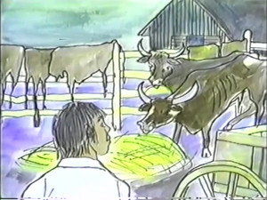 Stories of America 1. évad Ep.20 20. epizód