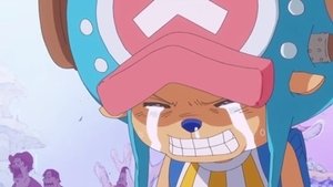 One Piece 14. évad Ep.537 537. epizód