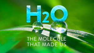 H2O: The Molecule that Made Us kép
