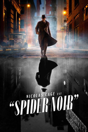A Pók: Noir poszter