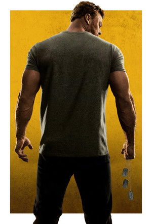Reacher poszter