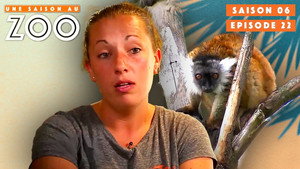 Une saison au zoo 6. évad Ep.22 22. epizód