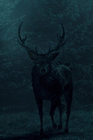 Hannibal poszter