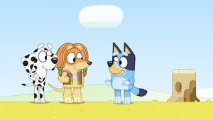 Bluey 3. évad Ep.44 Vad lányok